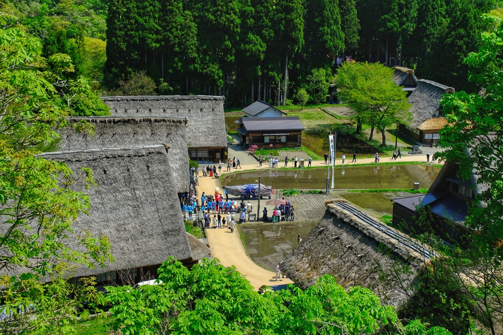 世界遺産で舞う