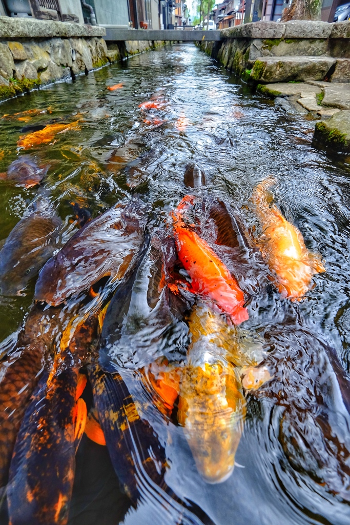 流れに逆らう力