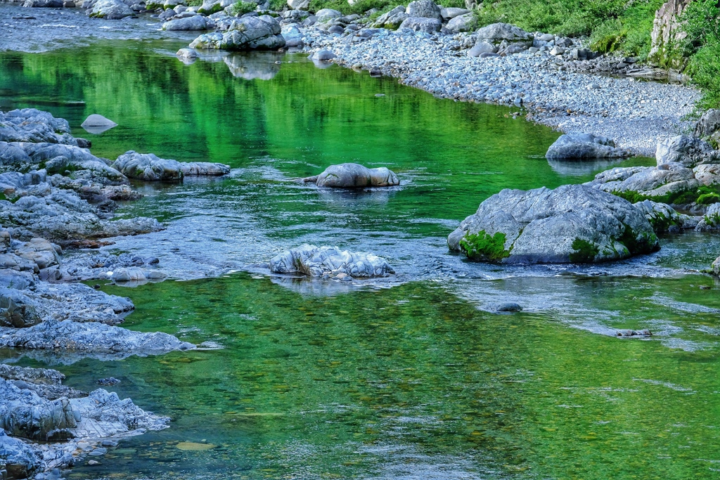 山緑映る