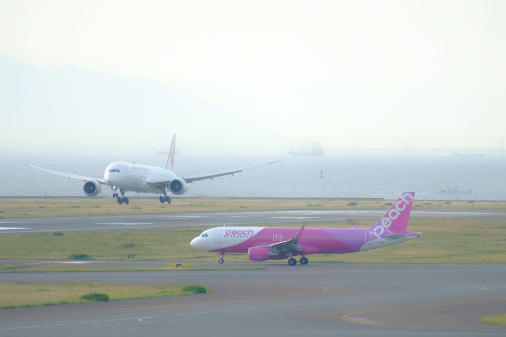 霞から