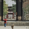 東大寺南大門