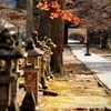 晩秋の谷汲山華厳寺