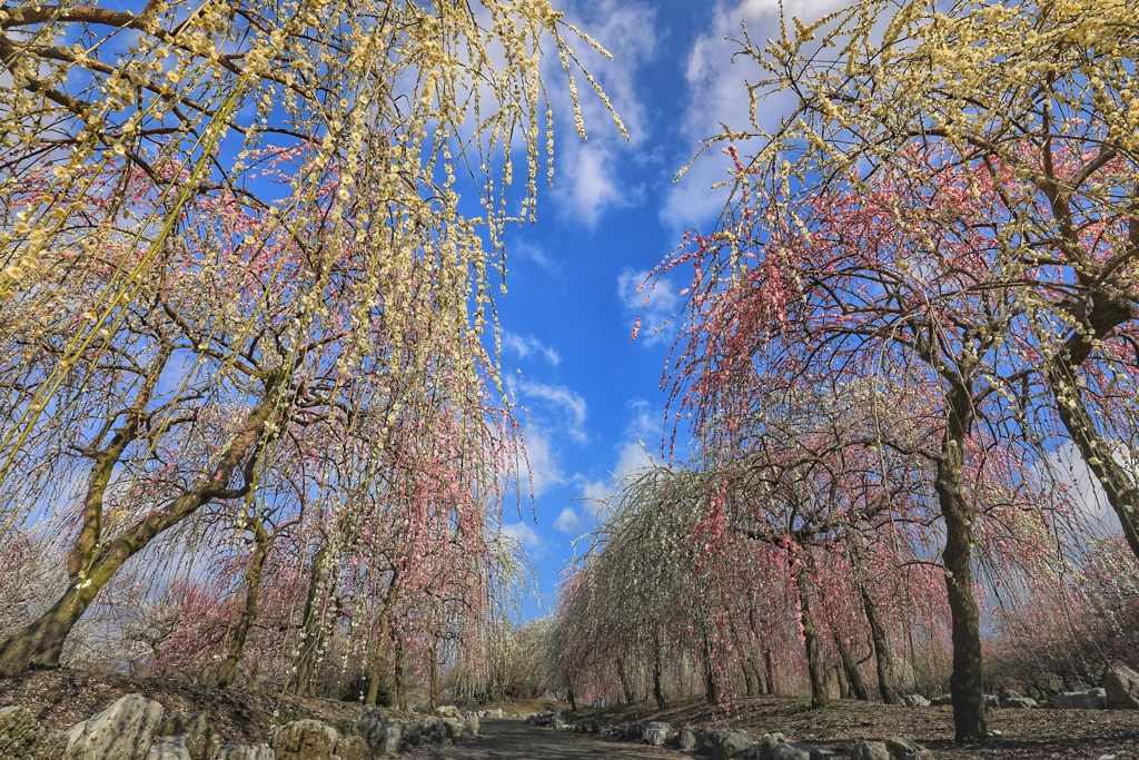 青空