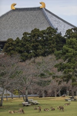 東大寺大仏殿