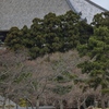 東大寺大仏殿