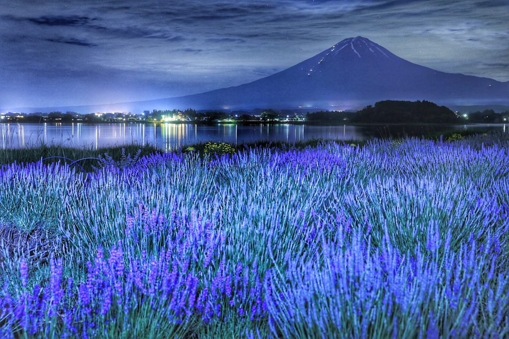 ラベンダー薫る夜