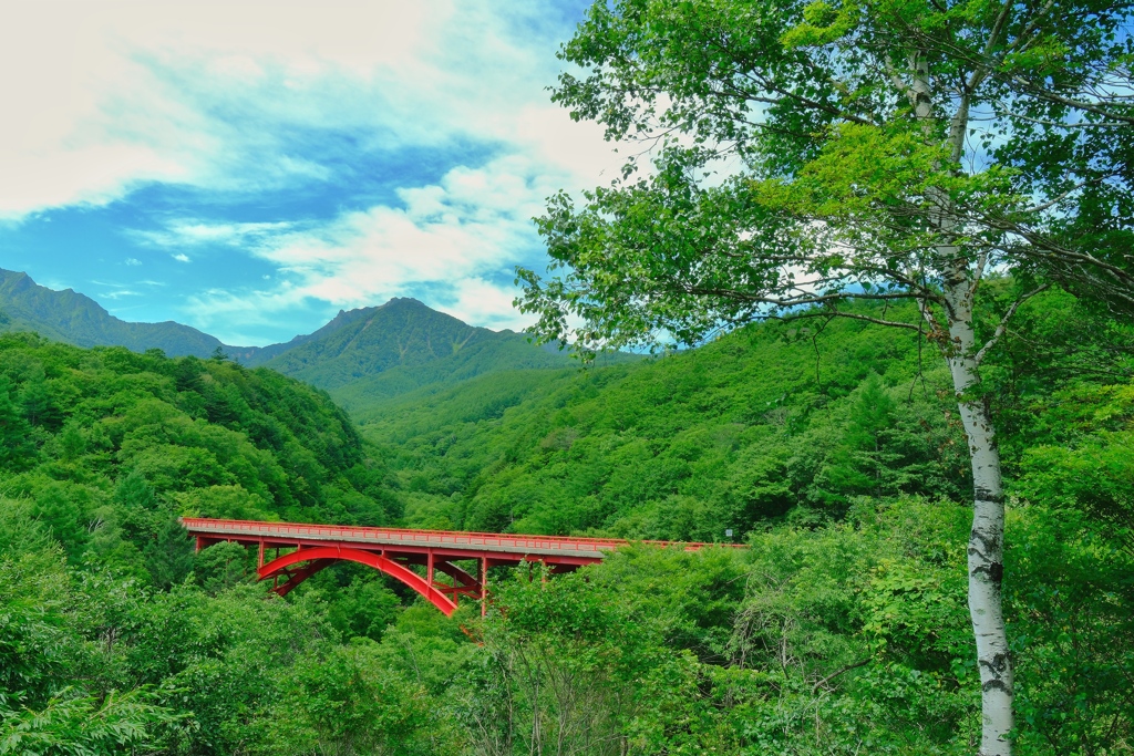 赤の架け橋