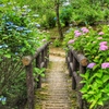 花の橋