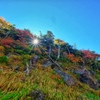 ダイヤモンド紅葉