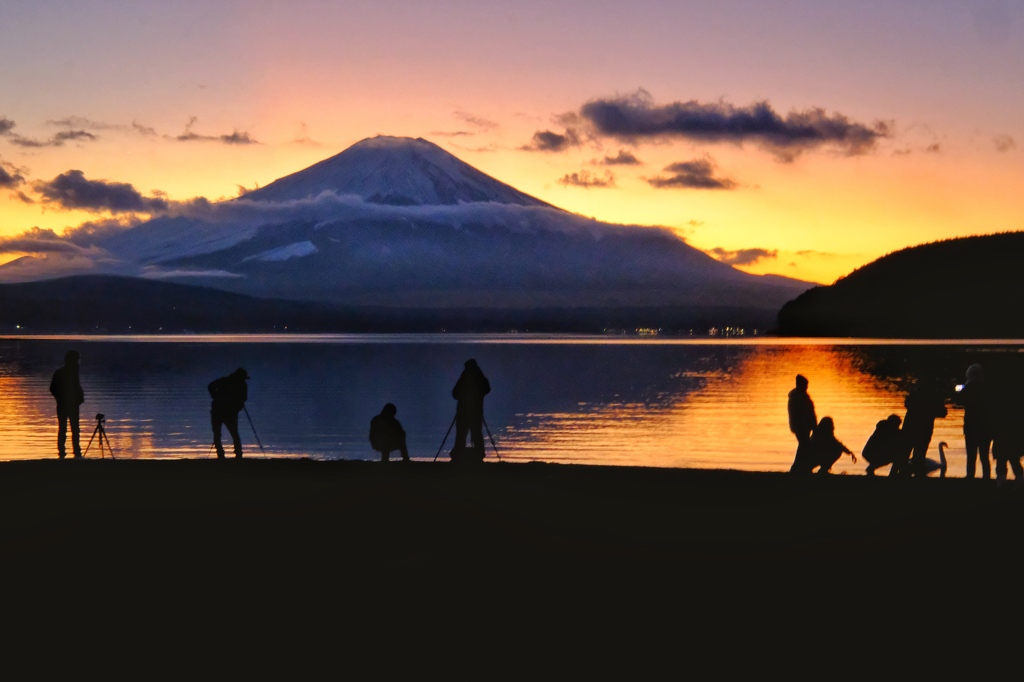 富士山好きと白鳥好き