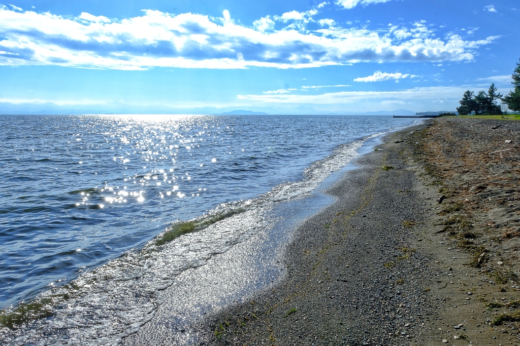 まるで海