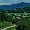 秘密基地・・・ぽい