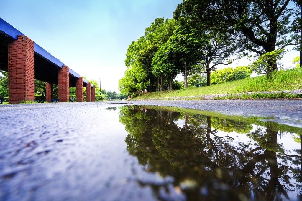 雨上がりの午後