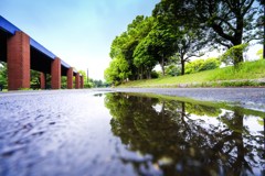 雨上がりの午後