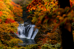 生瀬の滝と紅葉