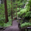 新緑の山寺