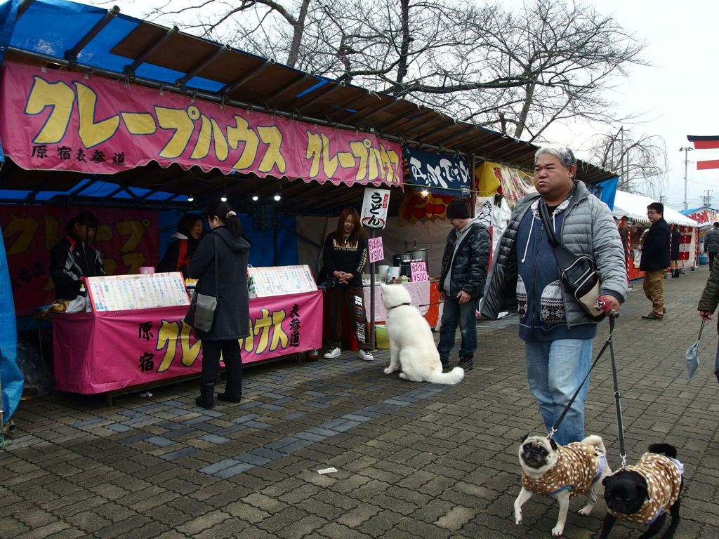 犬「俺もクレープ食いてぇ」