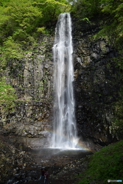名瀑　玉簾の滝