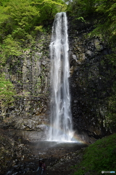 名瀑　玉簾の滝