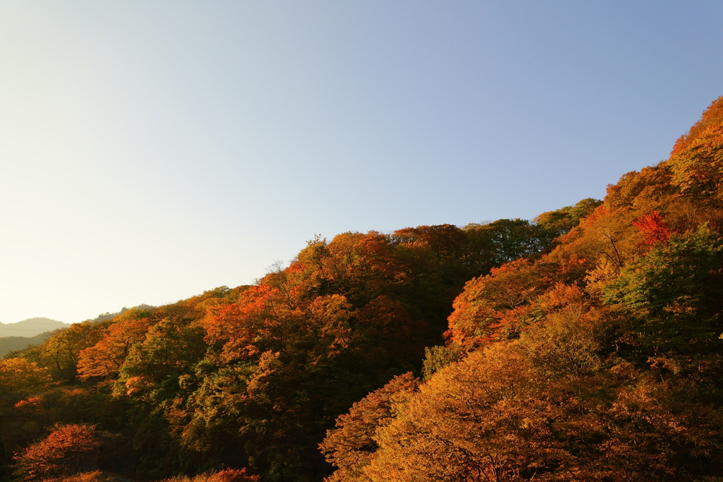 めがね橋から見る紅葉