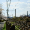 DSC01814