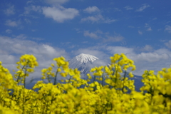 静岡ツーリング_02