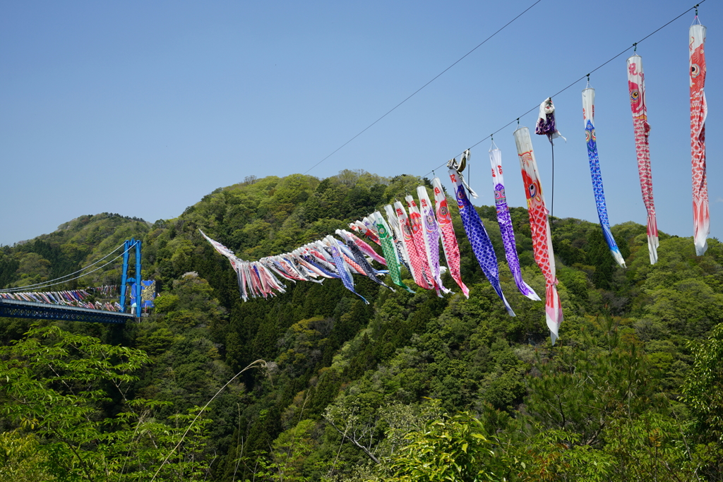 竜神大吊橋_01