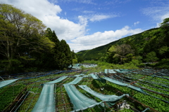 静岡ツーリング_03