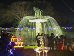 Merry Ⅹ’ｍas to youｉｎ昭和記念公園