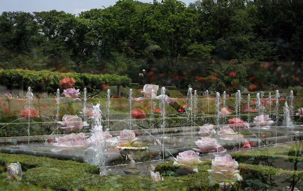 噴水とバラの花園