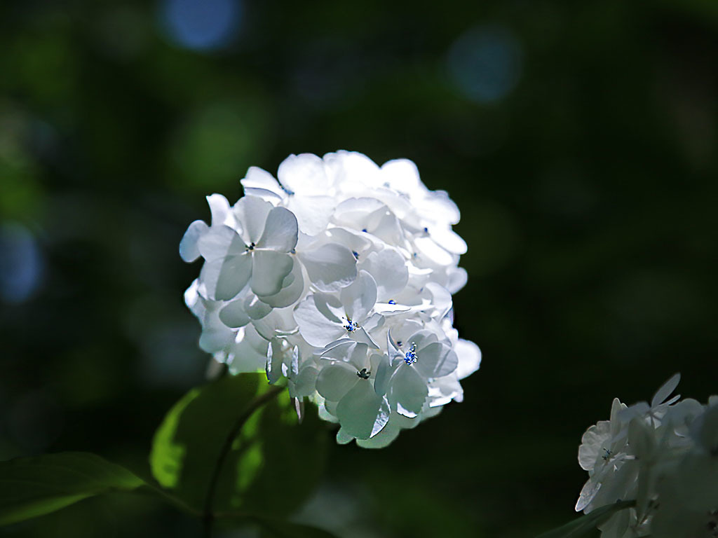 夏の装いⅠーお話しようね