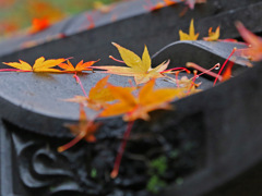 東福寺外門