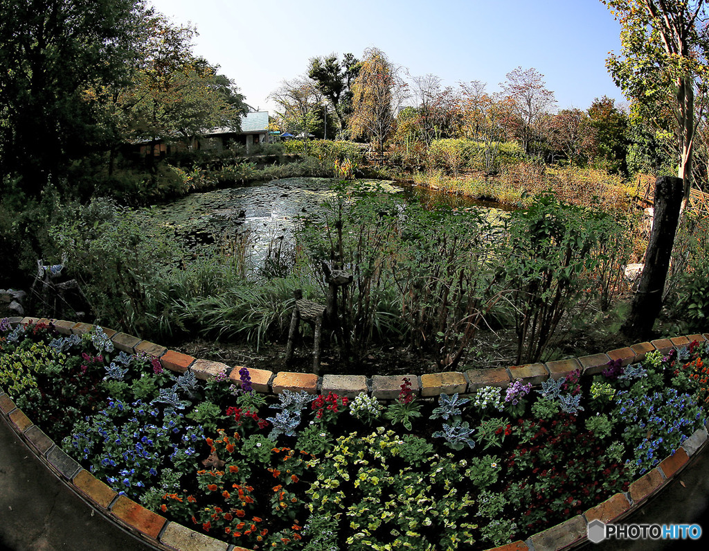 冬枯れの野に花束を-4