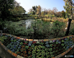 冬枯れの野に花束を-4