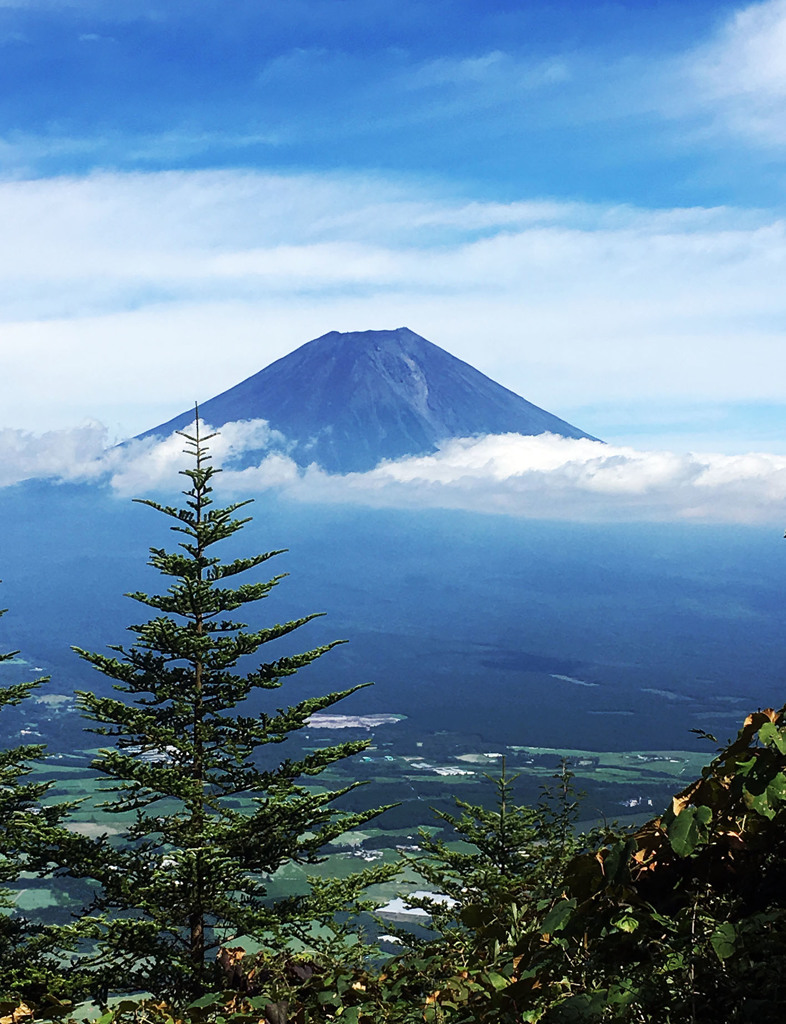 朝霧高原の富士山