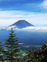 朝霧高原の富士山