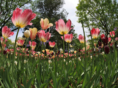 花園終焉、また来年ね