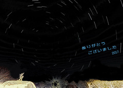 ありがとうございましたー2017、星の軌跡（昭和記念公園）