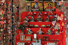 春萌え百草園ー雛段飾り