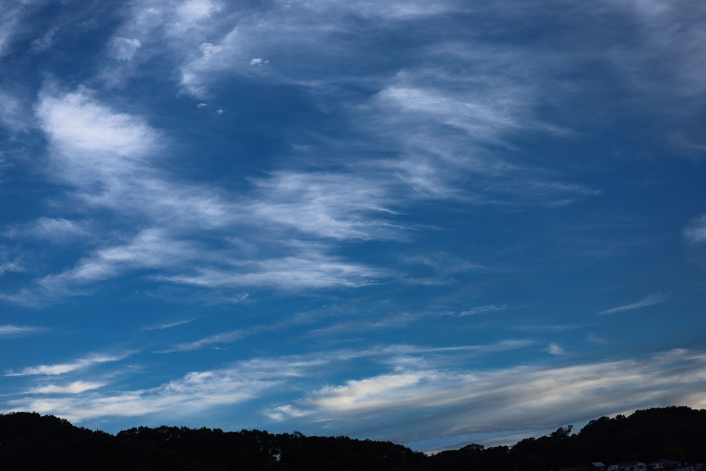 秋の空