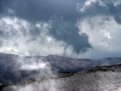 春の兆しー山編-2