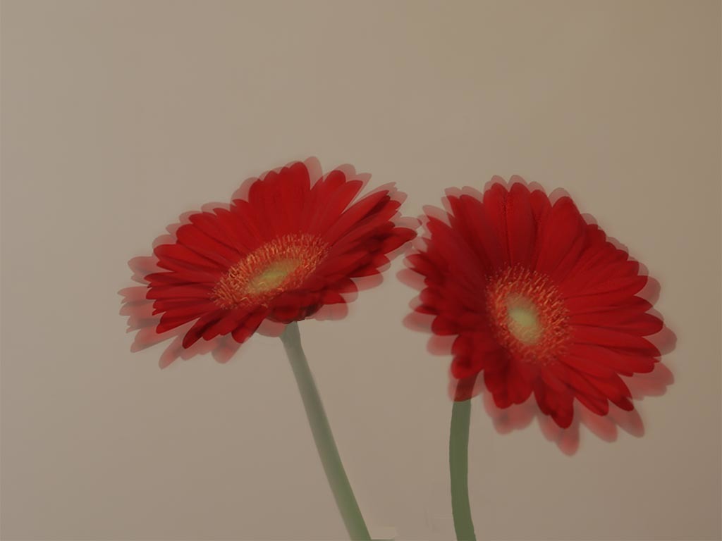 少しづつ春の足音-5（昭和記念公園で）