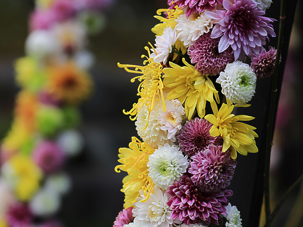 高幡不動Ⅱーお祝いの花筒