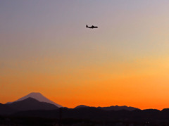 夕日を飛ぶ