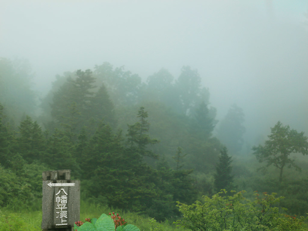 濃霧の八幡平