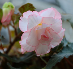 幸せをあなたに～