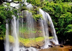 １月のガラスマオの滝－パラオ