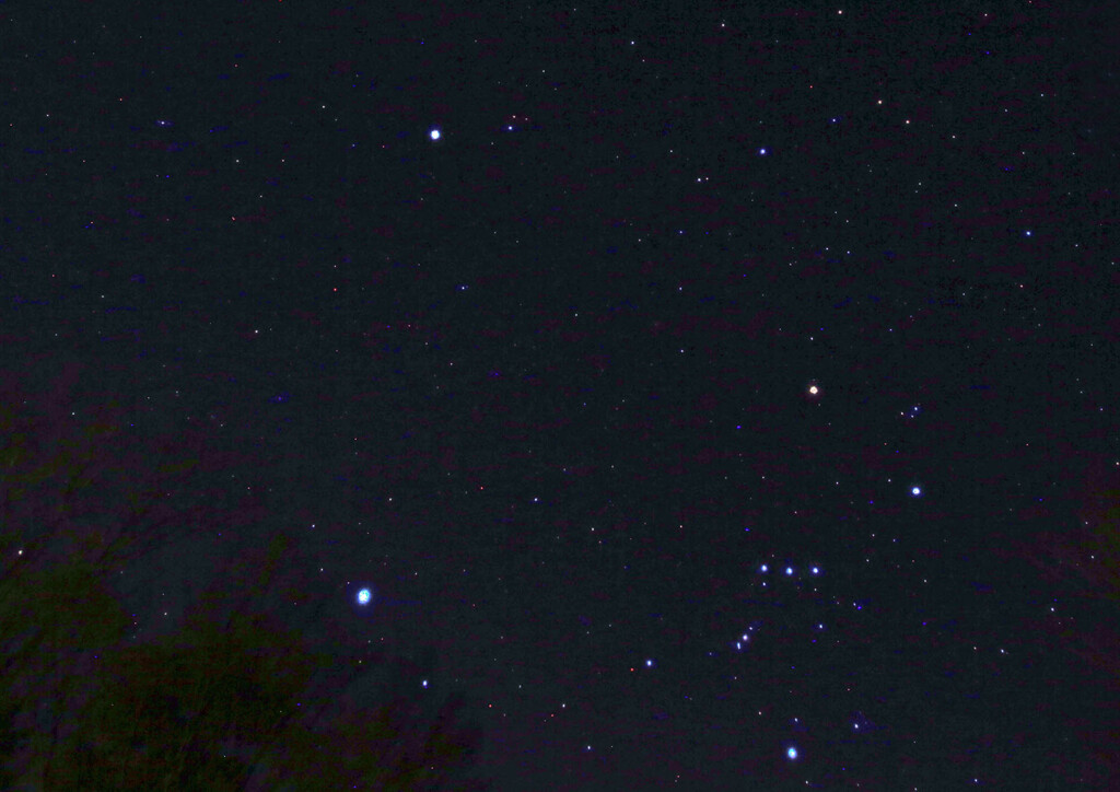春の大三角とオリオン星座ー山中湖畔