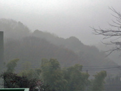 濃霧に覆われた街