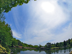 日本庭園ー昭和記念公園